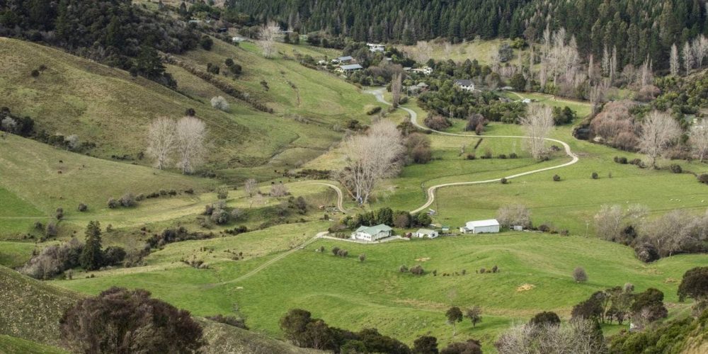 Save Kākā Valley Group Formed To Fight Planned Development