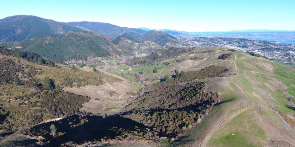 Kākā Valley: The Developers And Cautious Supporters